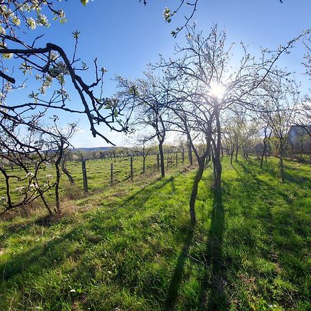 Potecarii Villa Novaci-Străini Esterno foto