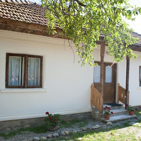 Potecarii Villa Novaci-Străini Esterno foto