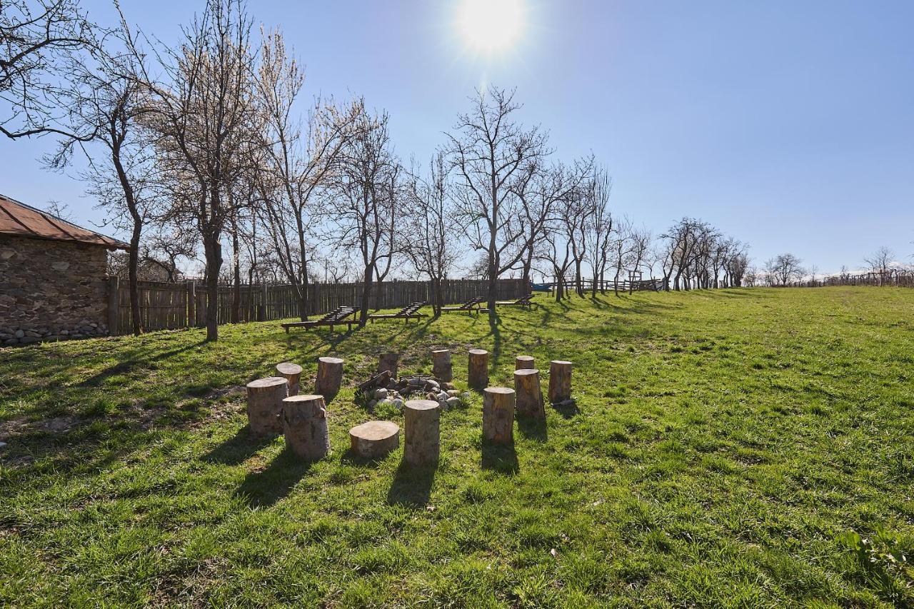 Potecarii Villa Novaci-Străini Esterno foto