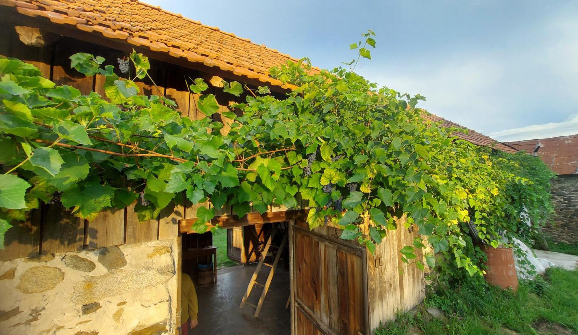 Potecarii Villa Novaci-Străini Esterno foto