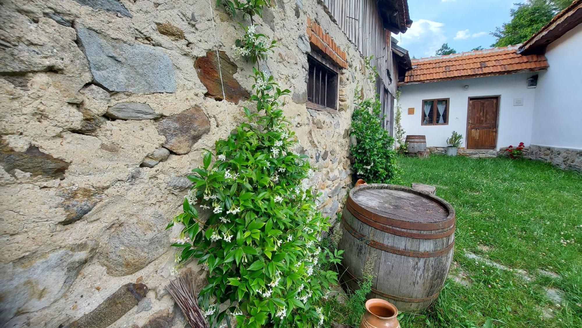 Potecarii Villa Novaci-Străini Esterno foto