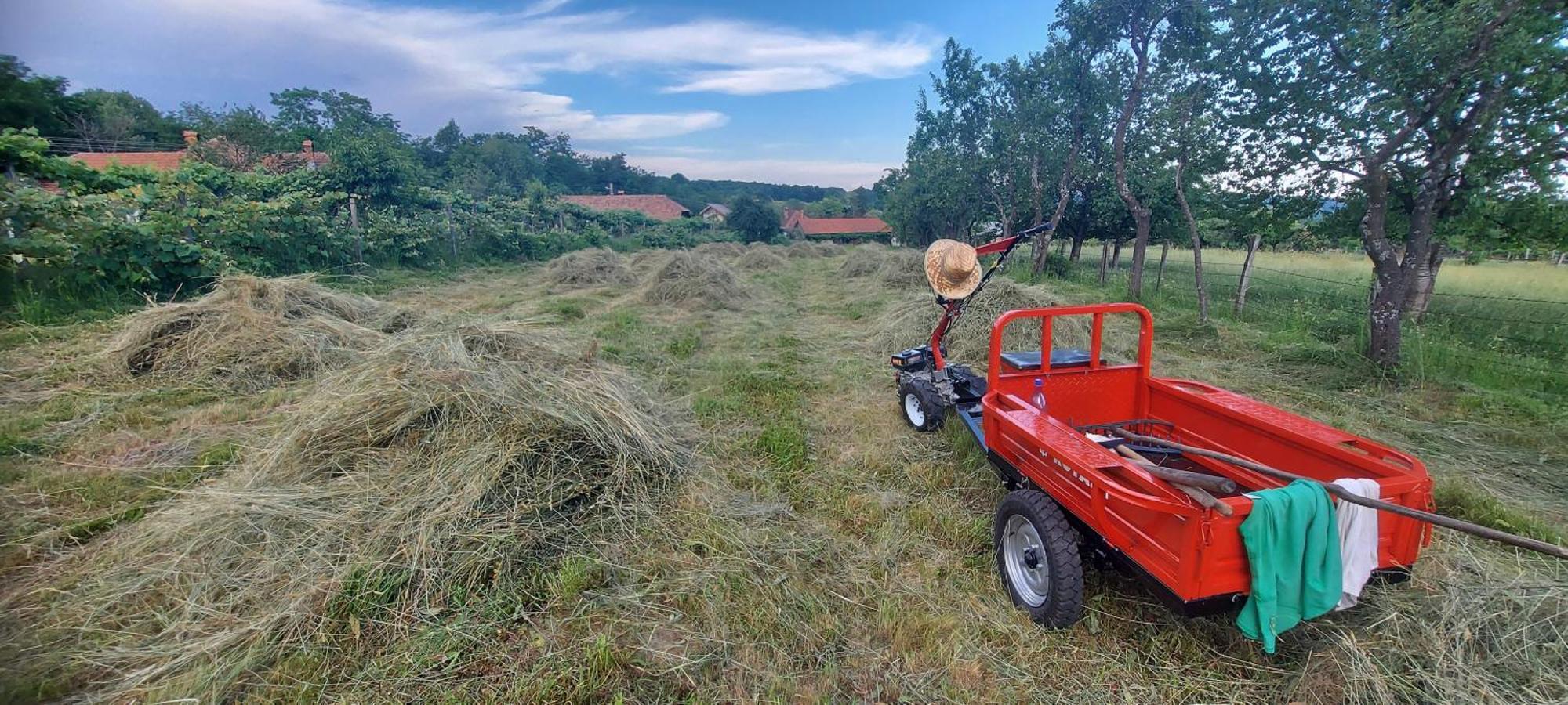 Potecarii Villa Novaci-Străini Esterno foto