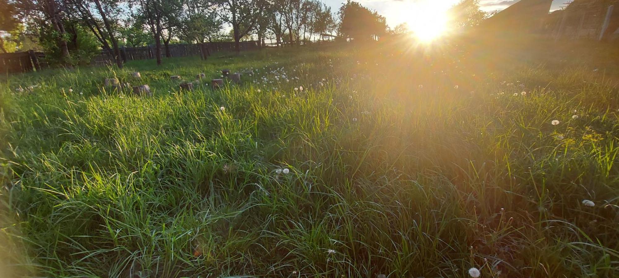 Potecarii Villa Novaci-Străini Esterno foto