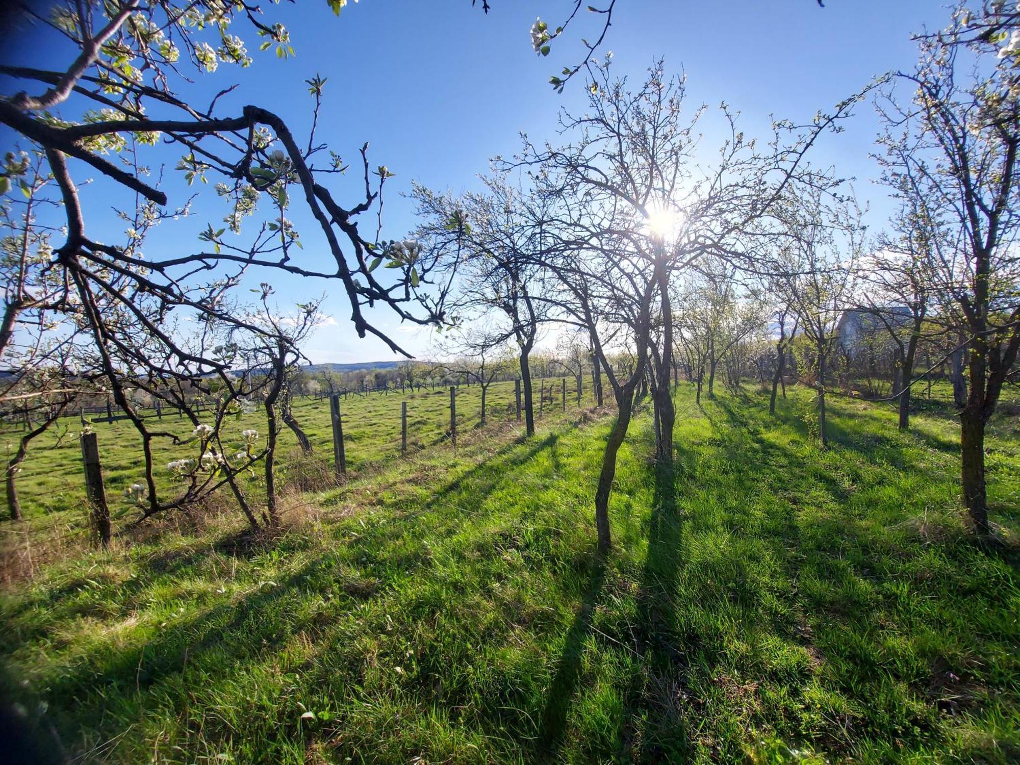 Potecarii Villa Novaci-Străini Esterno foto